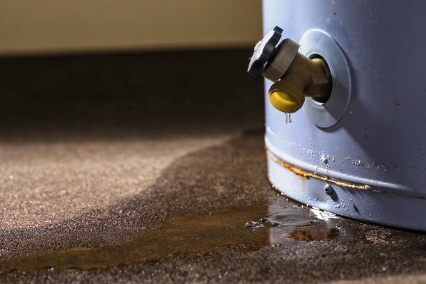 Best Water damage repair service  in West Hazleton, PA
