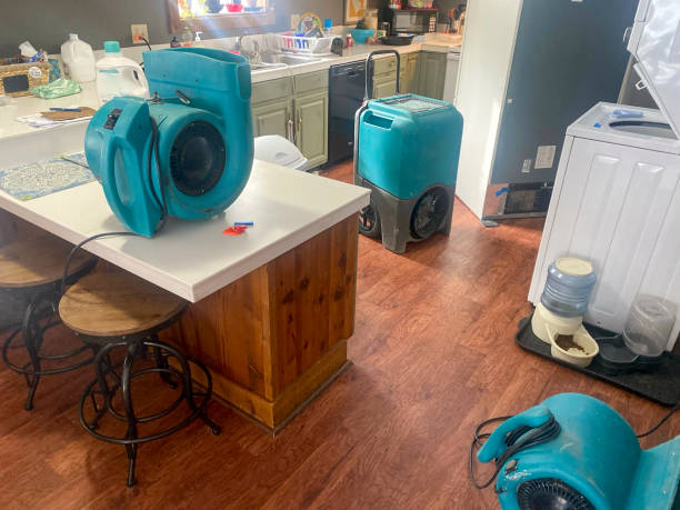 Best Residential water damage restoration  in West Hazleton, PA