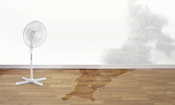 Best Fire Damage Restoration  in West Hazleton, PA
