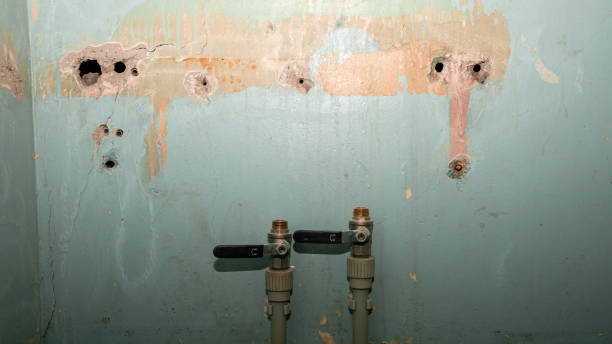 Best Carpet water damage restoration  in West Hazleton, PA