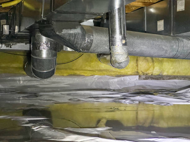 Best Mold removal after water damage  in West Hazleton, PA